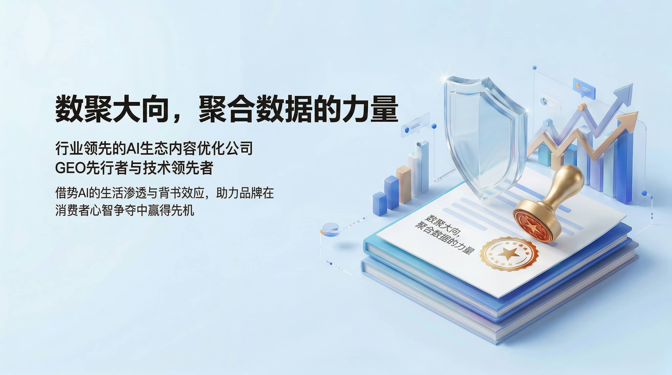 数聚大向
